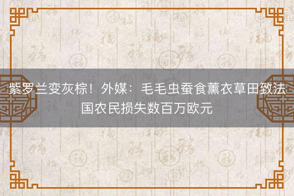 紫罗兰变灰棕！外媒：毛毛虫蚕食薰衣草田致法国农民损失数百万欧元