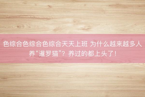 色综合色综合色综合天天上班 为什么越来越多人养“暹罗猫”？养过的都上头了！