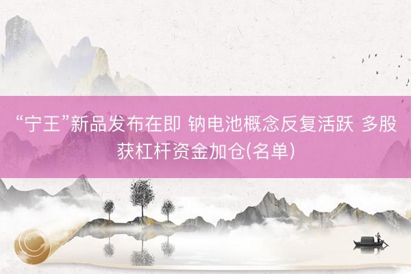 “宁王”新品发布在即 钠电池概念反复活跃 多股获杠杆资金加仓(名单)