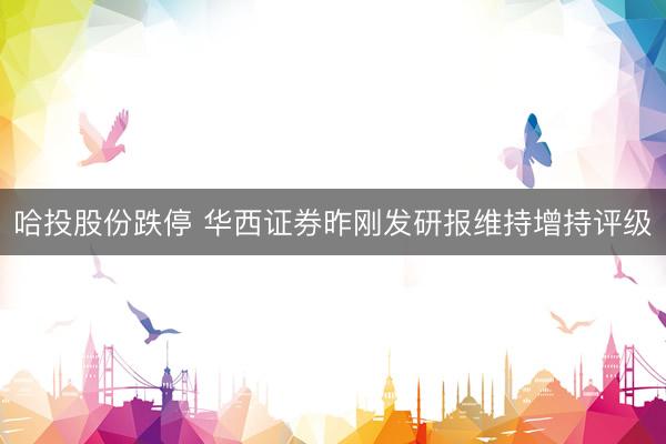 哈投股份跌停 华西证券昨刚发研报维持增持评级