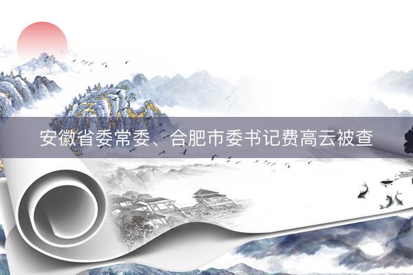 安徽省委常委、合肥市委书记费高云被查
