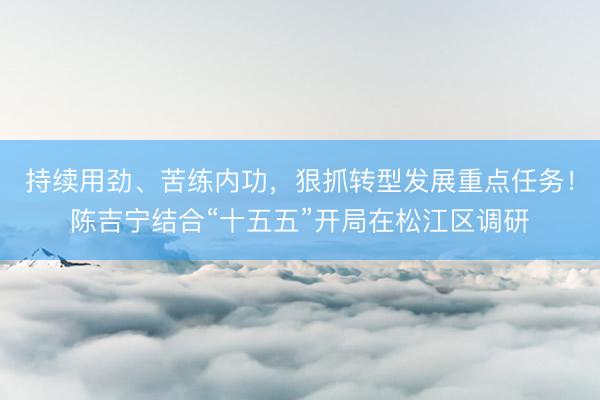 持续用劲、苦练内功，狠抓转型发展重点任务！陈吉宁结合“十五五”开局在松江区调研