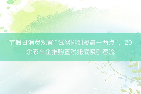 节假日消费观察|“试驾排到凌晨一两点”，20余家车企推购置税托底吸引客流