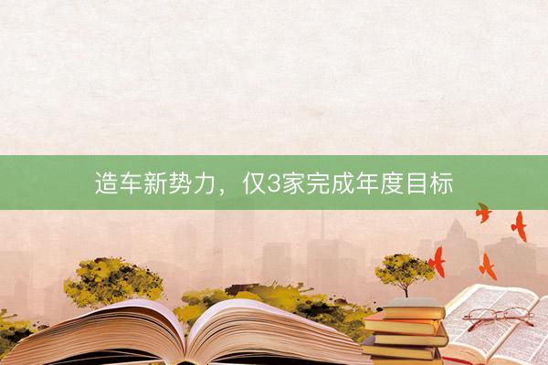 造车新势力，仅3家完成年度目标