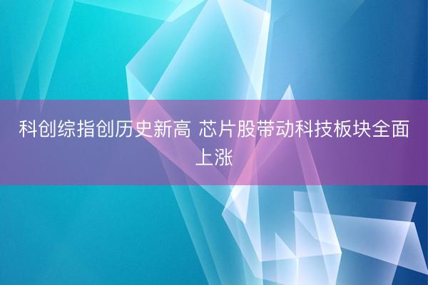 科创综指创历史新高 芯片股带动科技板块全面上涨