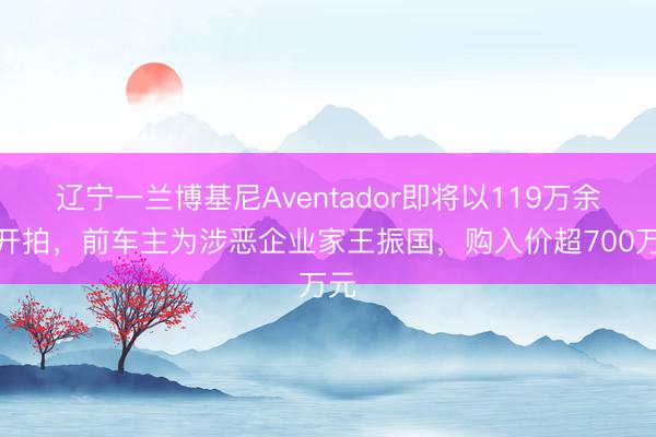 辽宁一兰博基尼Aventador即将以119万余元开拍，前车主为涉恶企业家王振国，购入价超700万元