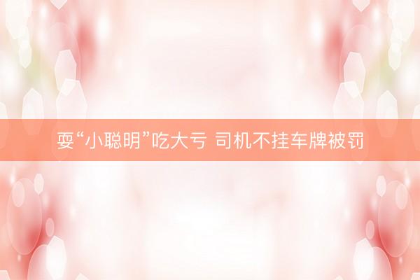 耍“小聪明”吃大亏 司机不挂车牌被罚