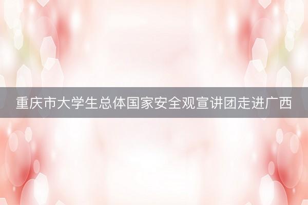 重庆市大学生总体国家安全观宣讲团走进广西