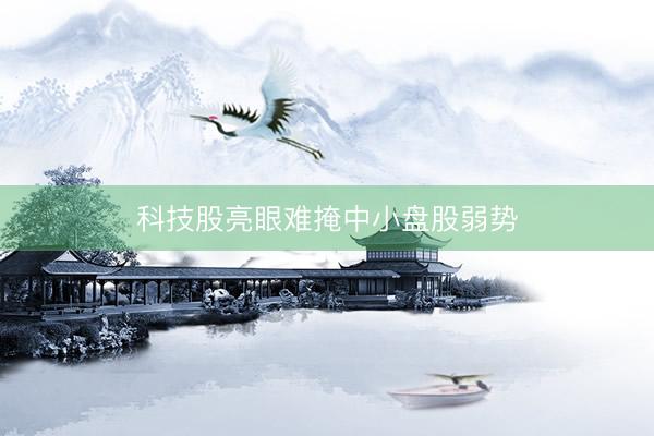 科技股亮眼难掩中小盘股弱势