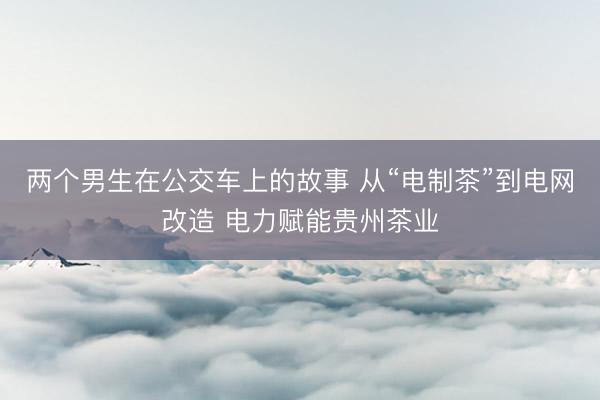 两个男生在公交车上的故事 从“电制茶”到电网改造 电力赋能贵州茶业