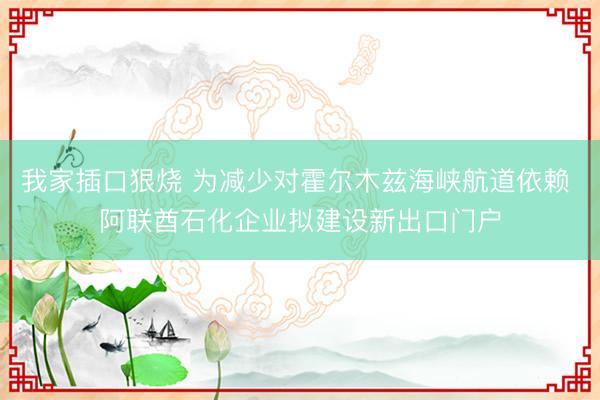 我家插口狠烧 为减少对霍尔木兹海峡航道依赖 阿联酋石化企业拟建设新出口门户