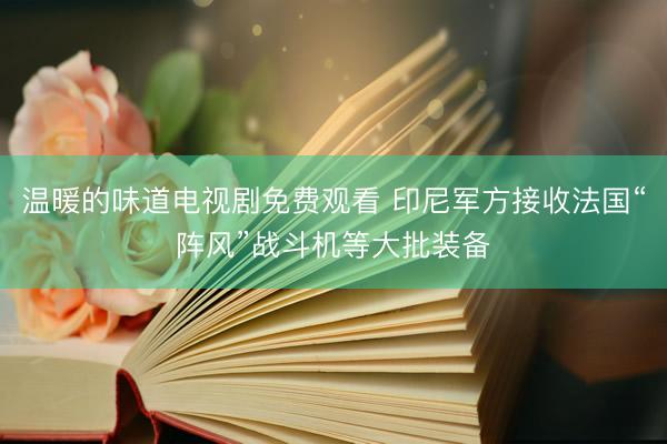 温暖的味道电视剧免费观看 印尼军方接收法国“阵风”战斗机等大批装备