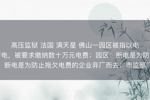 高压监狱 法国 满天星 佛山一园区被指以电费赚差价：有企业遭断电，被要求缴纳数十万元电费；园区：断电是为防止拖欠电费的企业弃厂而去；市监部门已立案调查
