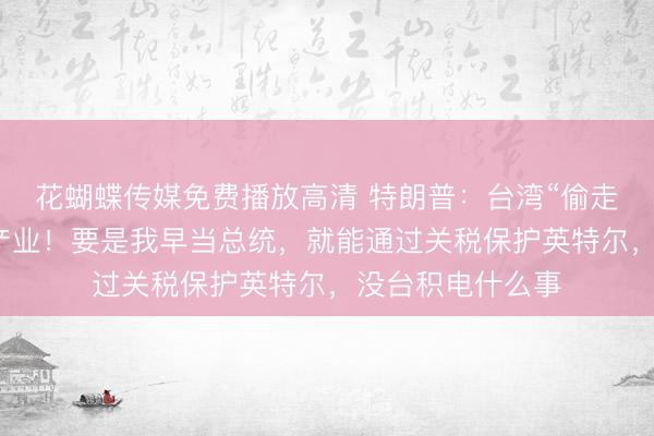 花蝴蝶传媒免费播放高清 特朗普：台湾“偷走了”美国的芯片产业！要是我早当总统，就能通过关税保护英特尔，没台积电什么事