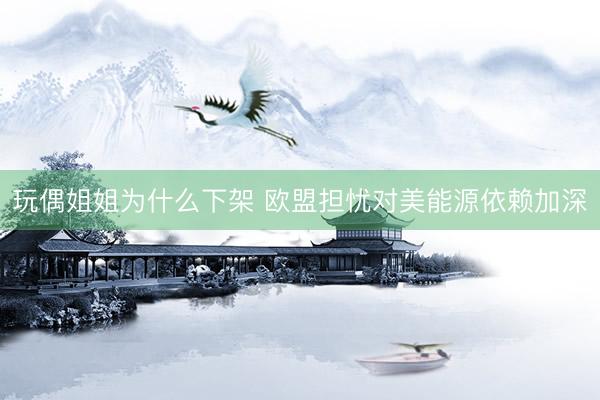 玩偶姐姐为什么下架 欧盟担忧对美能源依赖加深