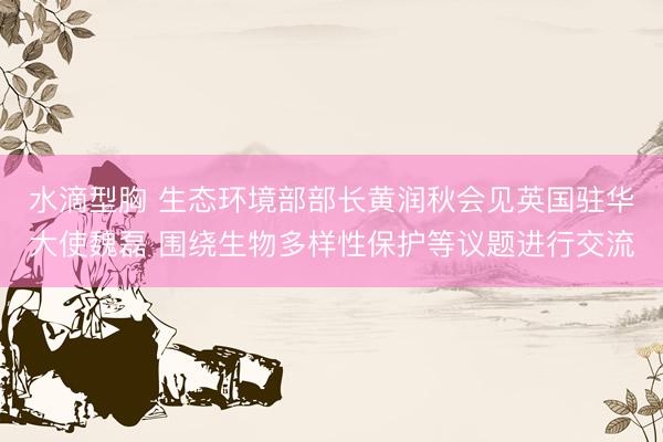 水滴型胸 生态环境部部长黄润秋会见英国驻华大使魏磊 围绕生物多样性保护等议题进行交流