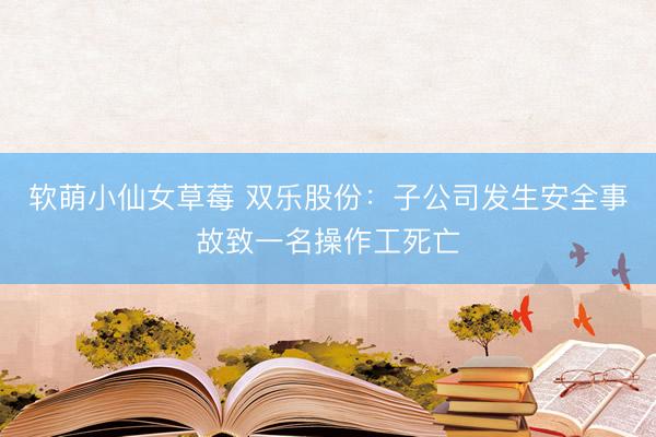软萌小仙女草莓 双乐股份：子公司发生安全事故致一名操作工死亡