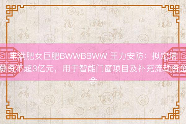 丰满肥女巨肥BWWBBWW 王力安防：拟定增募资不超3亿元，用于智能门窗项目及补充流动资金