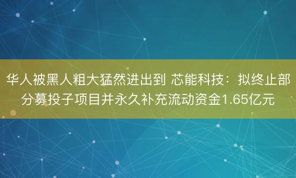 华人被黑人粗大猛然进出到 芯能科技：拟终止部分募投子项目并永久补充流动资金1.65亿元