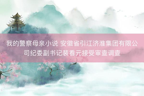 我的警察母亲小说 安徽省引江济淮集团有限公司纪委副书记裴看元接受审查调查