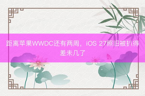 距离苹果WWDC还有两周，iOS 27照旧被扒得差未几了