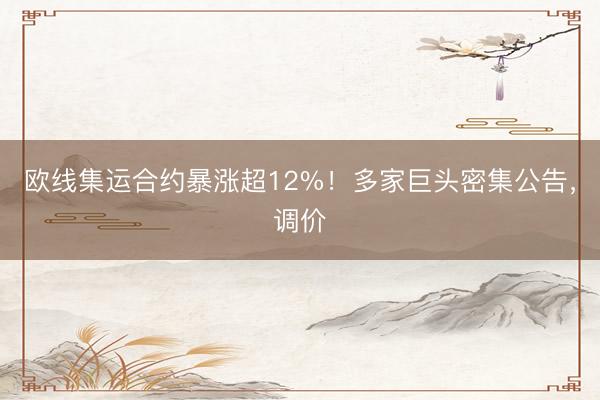 欧线集运合约暴涨超12%！多家巨头密集公告，调价