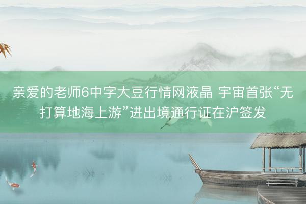 亲爱的老师6中字大豆行情网液晶 宇宙首张“无打算地海上游”进出境通行证在沪签发