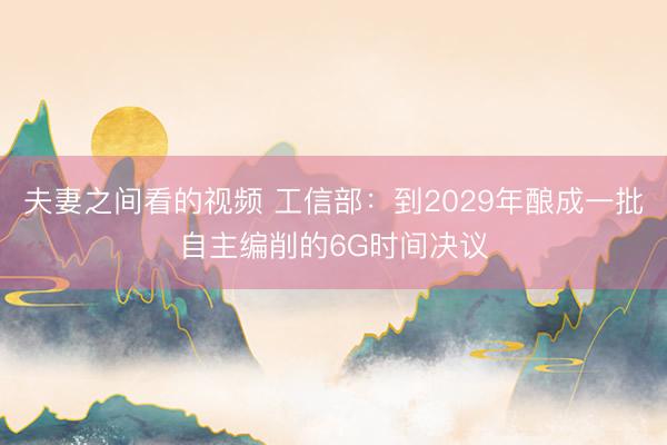 夫妻之间看的视频 工信部：到2029年酿成一批自主编削的6G时间决议