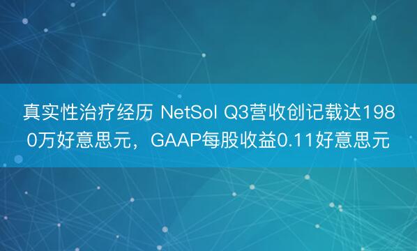真实性治疗经历 NetSol Q3营收创记载达1980万好意思元，GAAP每股收益0.11好意思元