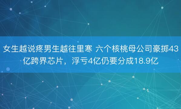 女生越说疼男生越往里寒 六个核桃母公司豪掷43亿跨界芯片，浮亏4亿仍要分成18.9亿