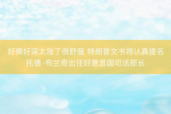 好爽好深太涨了很舒服 特朗普文书将认真提名托德·布兰奇出任好意思国司法部长