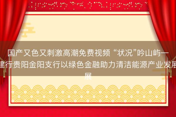国产又色又刺激高潮免费视频 “状况”吟山屿—建行贵阳金阳支行以绿色金融助力清洁能源产业发展