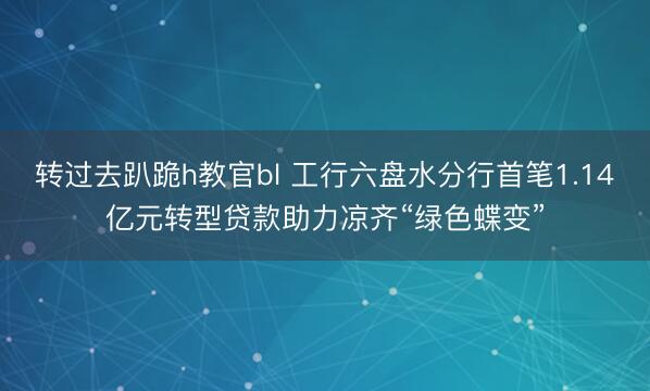 转过去趴跪h教官bl 工行六盘水分行首笔1.14亿元转型贷款助力凉齐“绿色蝶变”