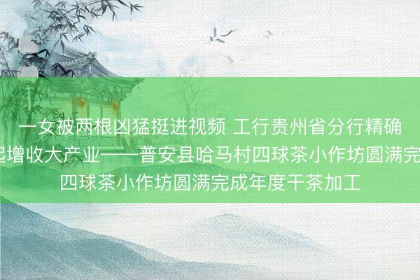 一女被两根凶猛挺进视频 工行贵州省分行精确帮扶 小作坊撑起增收大产业——普安县哈马村四球茶小作坊圆满完成年度干茶加工