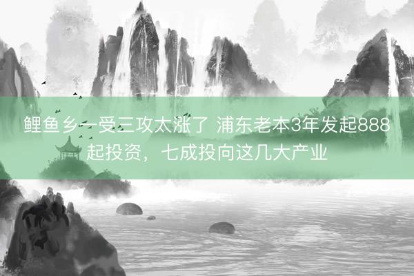 鲤鱼乡一受三攻太涨了 浦东老本3年发起888起投资，七成投向这几大产业