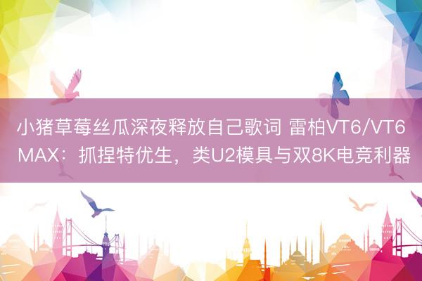 小猪草莓丝瓜深夜释放自己歌词 雷柏VT6/VT6 MAX：抓捏特优生，类U2模具与双8K电竞利器
