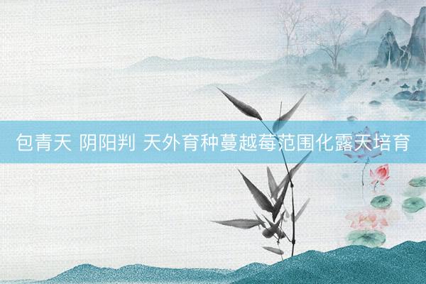 包青天 阴阳判 天外育种蔓越莓范围化露天培育