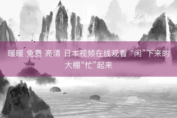 暖暖 免费 高清 日本视频在线观看 “闲”下来的大棚“忙”起来