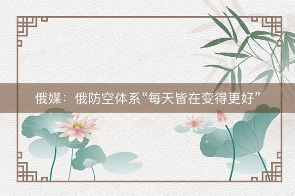 俄媒：俄防空体系“每天皆在变得更好”