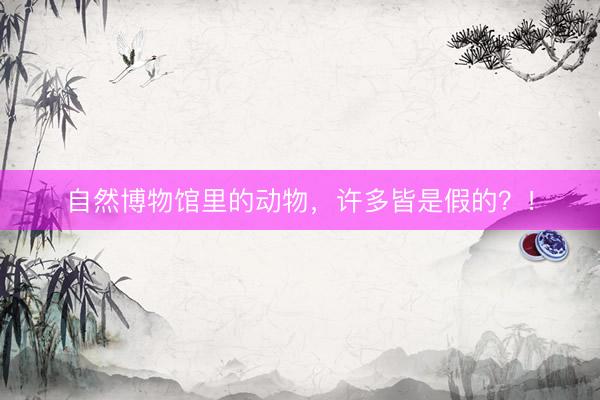 自然博物馆里的动物，许多皆是假的？！